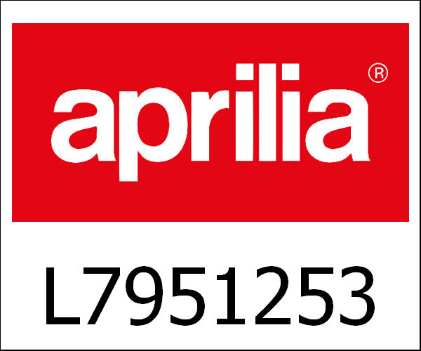APRILIA / アプリリア純正 Complete Differential Box|L7951253