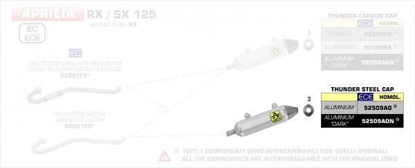 HOMOLOGATED ALUMINIUM THUNDER SILENCER WITH WELDED LINK PIPE FOR ORIGINAL AND ARROW COLLECTOR - Webike Thailand
