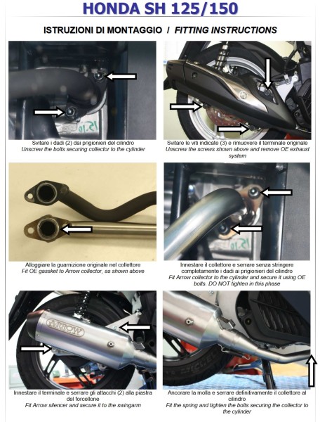 HOMOLOGATED EURO 4 COLLECTOR - Webike Thailand