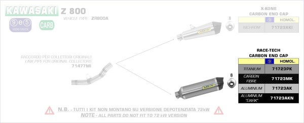 HOMOLOGATED CARBON RACE-TECH SILENCER WITH CARBON END CAP FOR ARROW MID-PIPE - Webike Thailand