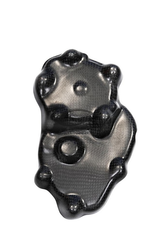 Carbonin Pick Up For Kawasaki ZX-6R | CK11045 - Webike Thailand