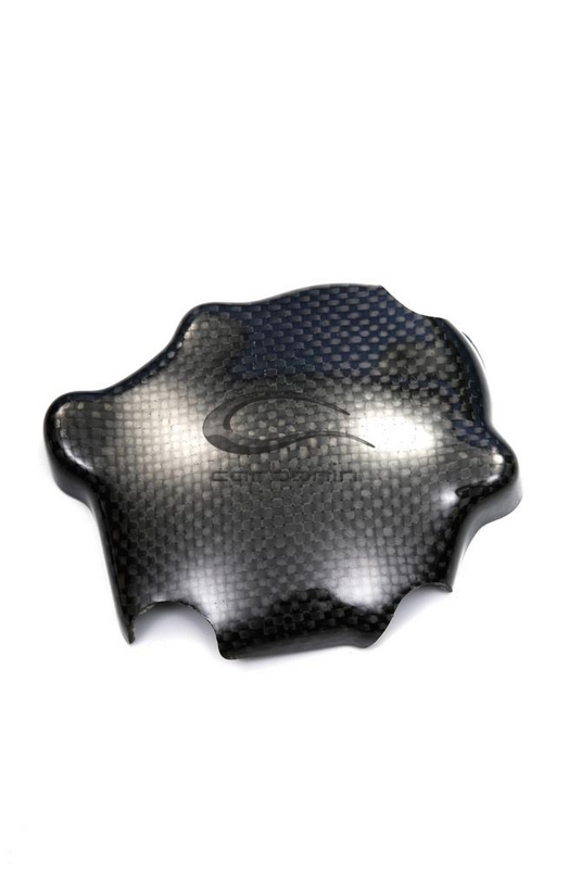 Carbonin Pick Up For Kawasaki ZX-6R | CK8045 - Webike Thailand