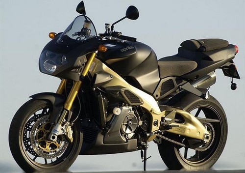 Standard, Amber - Webike Thailand