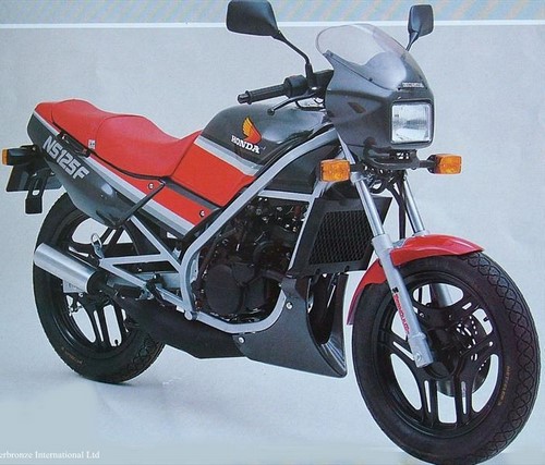 Standard, Amber - Webike Thailand
