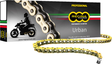 Regina 420 OROY Series Drive Chain | 124OROY/01F - Webike Thailand