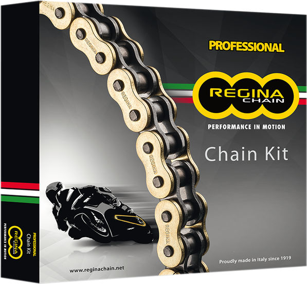 Regina Chain and Sprocket Kit | KD029 - Webike Thailand