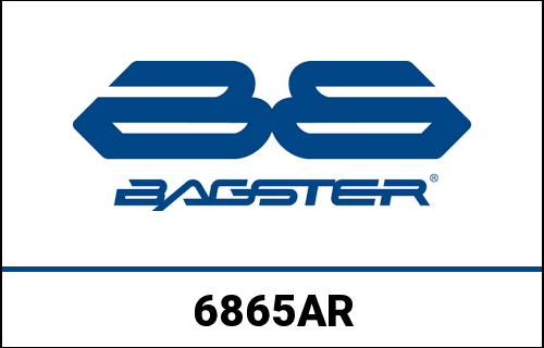 Bagster S. CUSTOMIZE XVS 1100 DRAG STAR | 6865AR - Webike Thailand