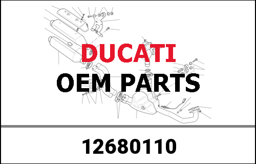 DUCATI / ドゥカティ Genuine SPOKE | 12680110