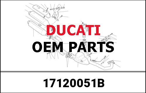 DUCATI / ドゥカティ Genuine TIMING GEARS SET | 17120051B