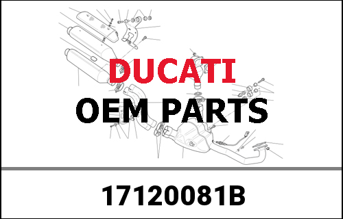 DUCATI / ドゥカティ Genuine TIMING GEARS SET | 17120081B
