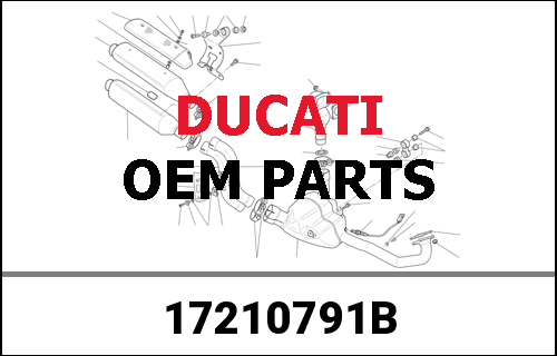 DUCATI / ドゥカティ Genuine 5TH SPEED GEAR | 17210791B