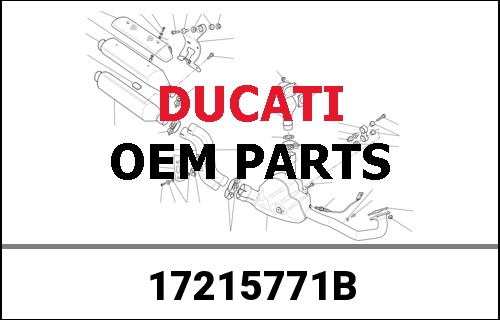 DUCATI / ドゥカティ Genuine DRIVEN GEAR 2ND SPEED T36 | 17215771B