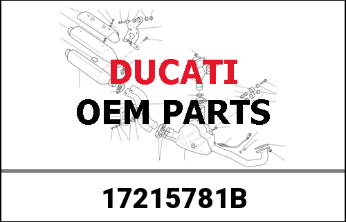 DUCATI / ドゥカティ Genuine DRIVEN GEAR 3RD SPEED | 17215781B
