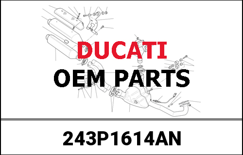 DUCATI / ドゥカティ Genuine COVER CLUTCH SIDE BLACK | 243P1614AN