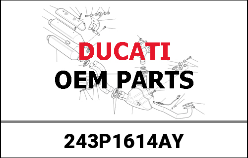 DUCATI / ドゥカティ Genuine COVER CLUTCH SIDE BLACK | 243P1614AY