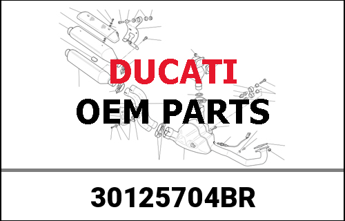 DUCATI / ドゥカティ Genuine REAR HEAD GROUP - SPARE PARTS | 30125704BR