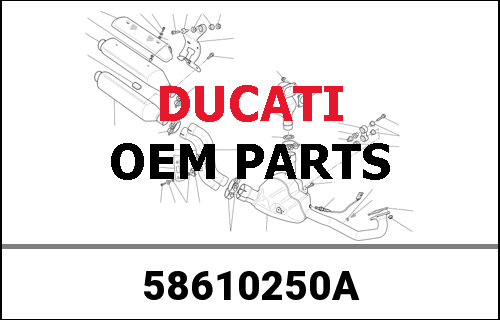 DUCATI / ドゥカティ Genuine FUEL TANK | 58610250A