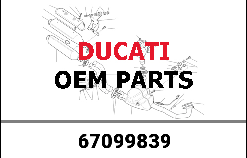 DUCATI / ドゥカティ Genuine "SANTAMONICA" TRANSFER | 67099839