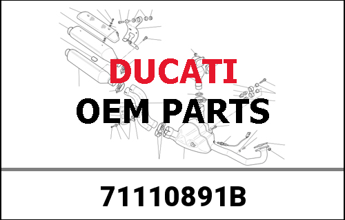 DUCATI / ドゥカティ Genuine MSB20 TSE CONROD BUSHING | 71110891B
