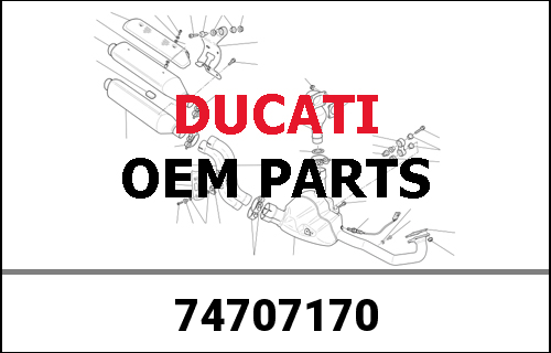 DUCATI / ドゥカティ Genuine SPRING CUP | 74707170