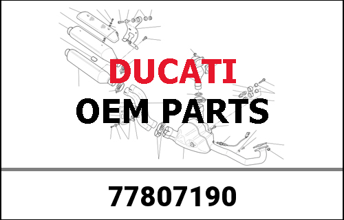 DUCATI / ドゥカティ Genuine START GEAR Z=35 | 77807190