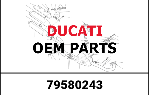 DUCATI / ドゥカティ Genuine CROWN Z=43 | 79580243