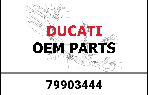 DUCATI / ドゥカティ Genuine FRONT RH TURN INDIC. CEV 100937218StarCAV. | 79903444