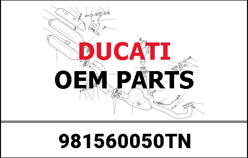 DUCATI / ドゥカティ Genuine BACK GUARD D-D WAVE 13 SIZE M | 981560050TN