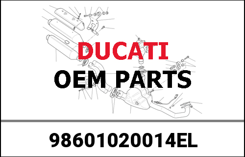 DUCATI / ドゥカティ Genuine T-SHIRT DONNA DUC. BLACK M WOMENS T- | 98601020014EL