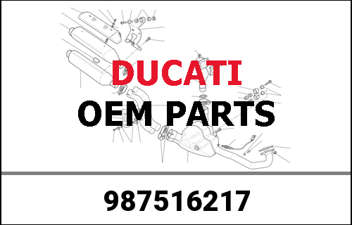 DUCATI / ドゥカティ Genuine T-SHIRT B.BOARD SAND/BORD.XXL MENS T-SH | 987516217
