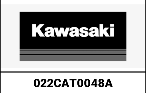 KAWASAKI / カワサキ Genuine DOOR SET (4 PCS) DXT KAF1000B | 022CAT0048A