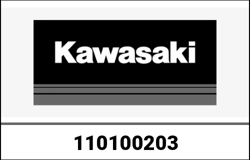 KAWASAKI / カワサキ Genuine FILTER-ASSY-AIR AN112D9F | 110100203