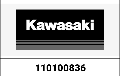 KAWASAKI / カワサキ Genuine FILTER-ASSY-AIR FJ300G-AB0 | 110100836
