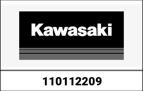KAWASAKI / カワサキ Genuine CASE-AIR FILTER FA210D-CS1 | 110112209