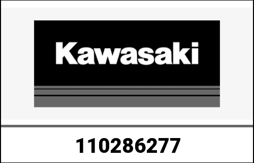 KAWASAKI / カワサキ Genuine GASKET-SET FS481V-CS1 | 110286277