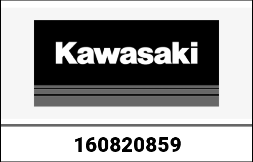 KAWASAKI / カワサキ Genuine PUMP-ASSY-OIL,ABS,10.3ME ZX100 | 160820859