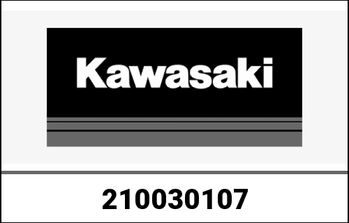 KAWASAKI / カワサキ Genuine STATOR ZX1000JBF | 210030107