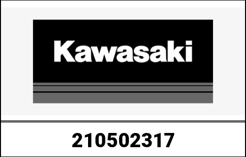 KAWASAKI / カワサキ Genuine FLYWHEEL TJ035E-AA0 | 210502317