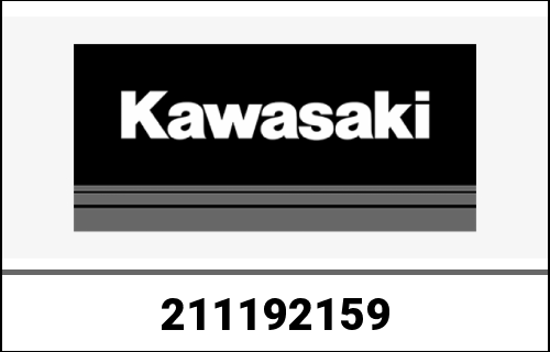 KAWASAKI / カワサキ Genuine IGNITER TH034D-AE0 | 211192159