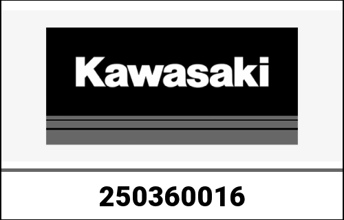 KAWASAKI / カワサキ Genuine METER-ASSY,TFT DISPLAY ZX1002L | 250360016