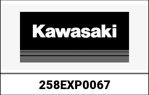 KAWASAKI / カワサキ Genuine EXHAUST CARBON+VALVE Z80 ZR800 | 258EXP0067