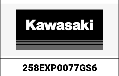 KAWASAKI / カワサキ Genuine GRAPH.GASKET D60D54.5 L2 ZR100 | 258EXP0077GS6