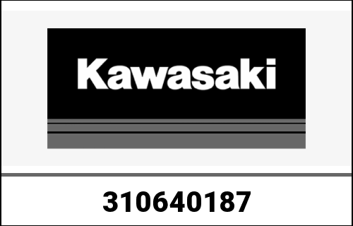 KAWASAKI / カワサキ Genuine PIPE-COMP ZX1000E9FR | 310640187