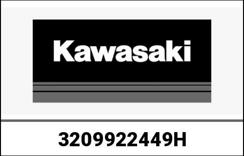 KAWASAKI / カワサキ Genuine CASE FE120G-AE0 | 3209922449H