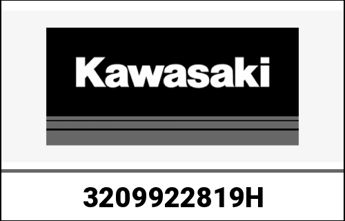 KAWASAKI / カワサキ Genuine CASE FE170G-AK5 | 3209922819H