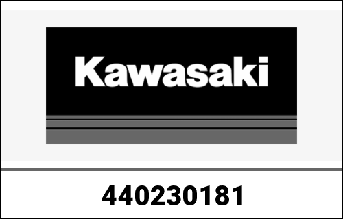 KAWASAKI / カワサキ Genuine CYLINDER-SET-FORK ZX1002PNFN | 440230181