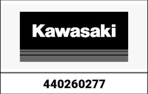KAWASAKI / カワサキ Genuine SPRING-FRONT FORK ZX1002PNFN | 440260277