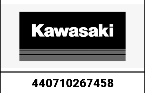 KAWASAKI / カワサキ Genuine DAMPER-ASSY,FORK,RH,P.SI KLX11 | 440710267458