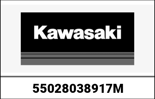 KAWASAKI / カワサキ Genuine COWLING,CNT,RH,A.SILVER ZG1400 | 55028038917M