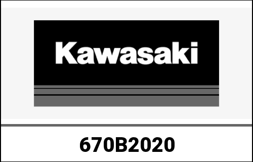 KAWASAKI / カワサキ Genuine O RING,20MM G | 670B2020